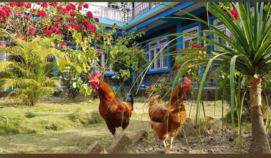 Robins Nest Hotel & Restaurant Deorāli Екстериор снимка